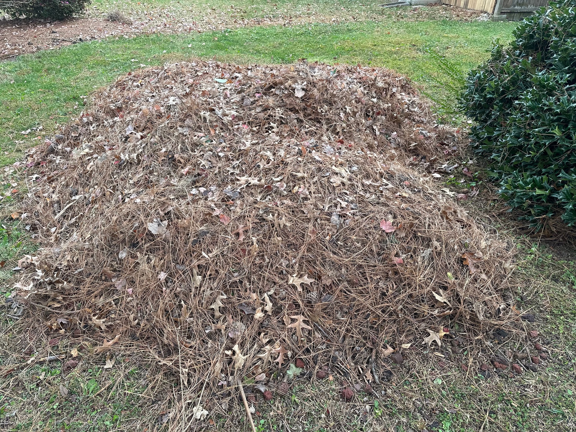 Leaf yard waste